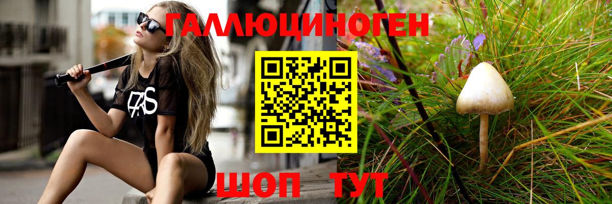 Галлюциногенные грибы Cubensis  Вход с VPN  Азнакаево 
