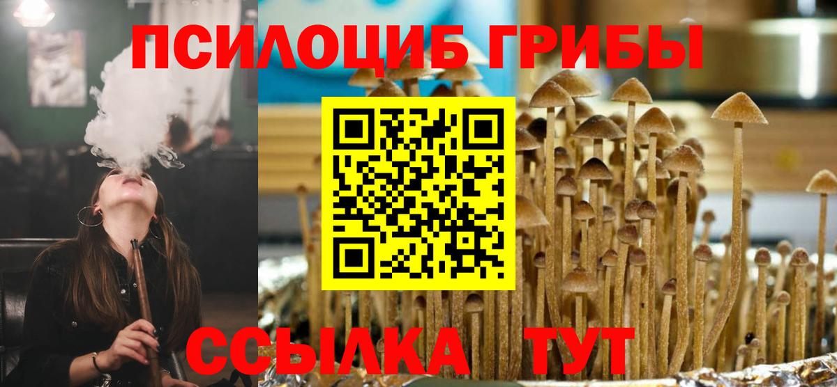 Галлюциногенные грибы прущие грибы Азнакаево